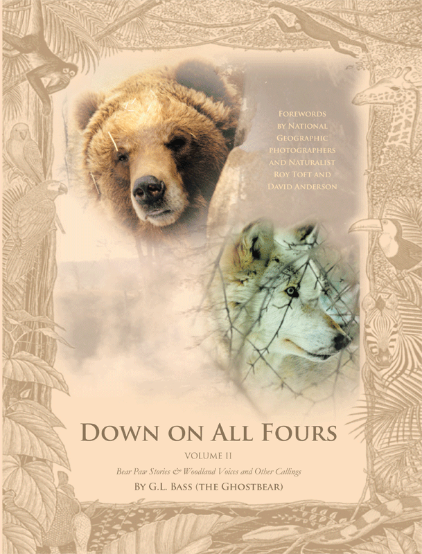 down on all four's Volume I front cover