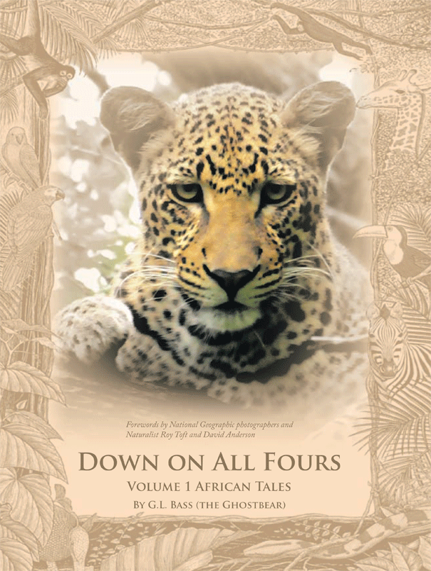 Down on All fours front cover Vol 1 picture of the head of a leopard in a tree
